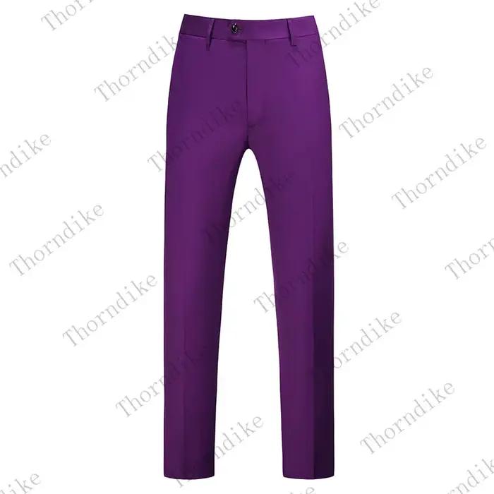 Pantalon de costume d'automne pour homme