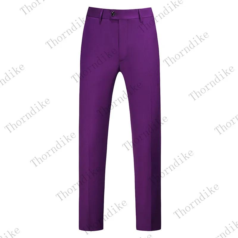 Pantalon de costume d'automne pour homme