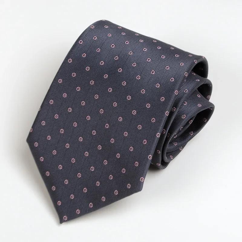 Cravate de Costume Professionnel pour Homme